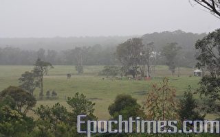 夏飛巖: 瀕臨流產危機的「澳洲少林寺」
