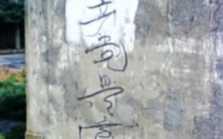 上海冤民兩會特別提案「街頭標語」遭清算