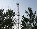 英村民半數健康惡化 手機基地台惹的禍？