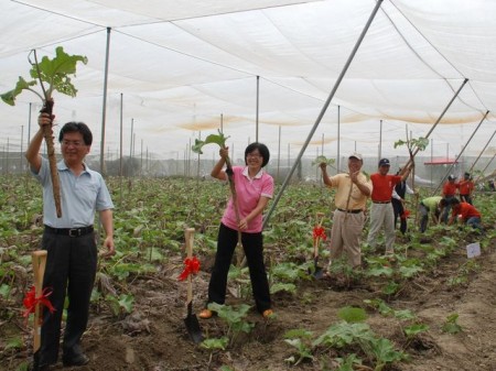 归来牛蒡以传统缔造新利机 大纪元