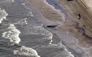墨西哥湾漏油危及马州﹖专家说法不一