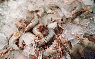 墨西哥湾漏油 马州海鲜生意受影响