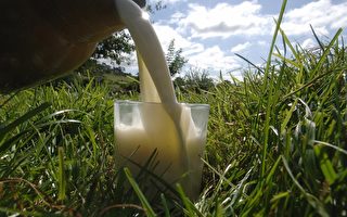 阻力訓練後飲用牛奶 消脂效果佳