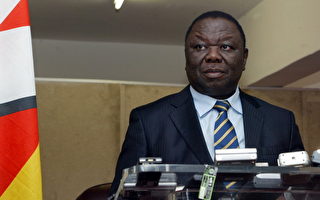 世界盃停電　津巴布韋能源部長官位不保