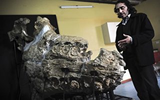 《白鯨記》主角化石出土 恐怖獵鯨殺手