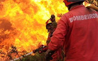 葡國野火旺 燒進國家公園
