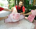 嘉市漁船捕獲少見怪魚 楊氏六鰓魟