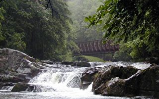 气候暖可能危及美维州山区动物