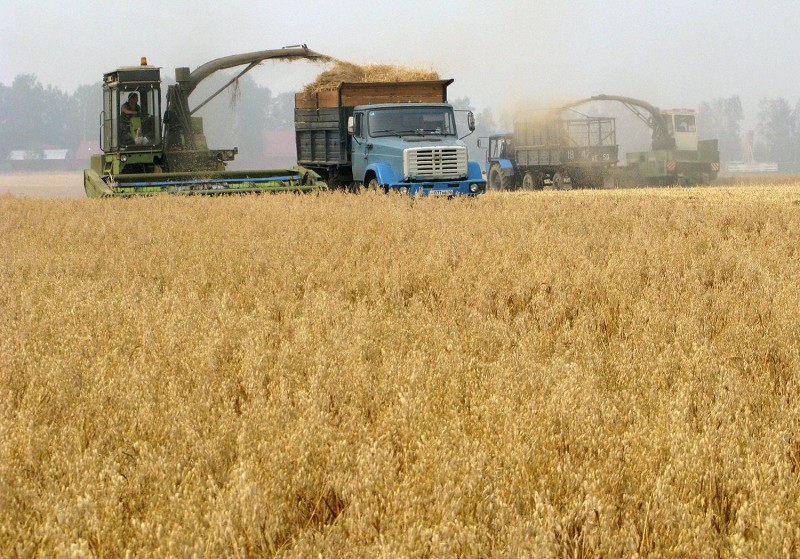 俄乌小麦出口占全球25% 战争令粮价飙涨