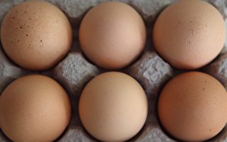 從5億雞蛋下架看美國食品衛生