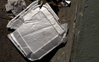 洛縣決議禁用泡沫塑料食品包裝盒