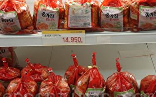 韩国欲紧急进口大白菜缓解“泡菜危机”