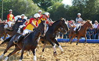 組圖：法國雷恩第20屆馬節與馬球賽