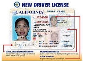 加州開始更換新駕照
