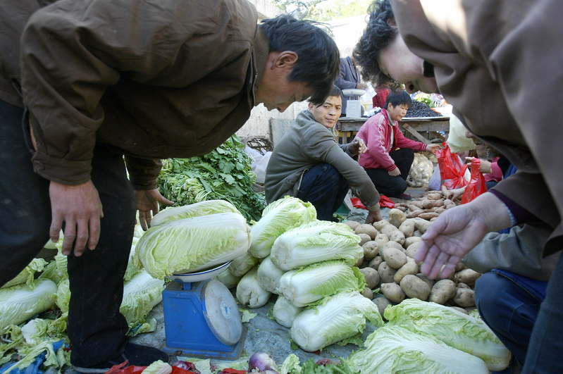 大陆蔬菜价格跌至低谷 有菜农放弃收割