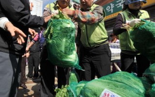 南韩泡菜危机 政府干预奏效