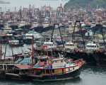 强台“鲶鱼”预计22日夜间正面袭击广东，为防御风灾，广东海南7万艘渔船回港避风。图为香港大部分出海捕鱼渔船已回避风塘避风。（ANTONY DICKSON/AFP/Getty Images）