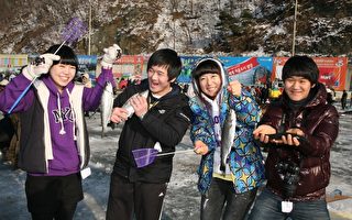韓國冬季最大慶典──華川山鱒魚慶典