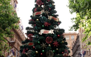 悉尼點亮第一棵聖誕樹 慶典揭幕