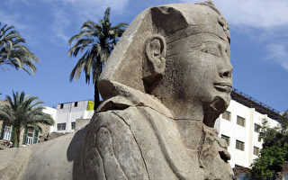 埃及出土12尊2300多年前獅身人面像