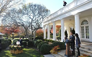 传统感恩节前习俗 奥巴马赦免火鸡