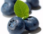 蓝莓 有助改善胰岛素敏感度