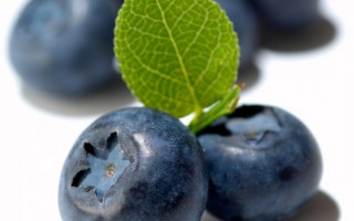 藍莓 有助改善胰島素敏感度