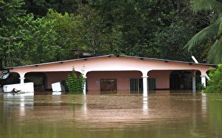 巴拿马豪雨 已造成11人死亡