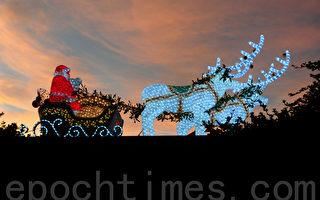 组图：澳洲猎人谷花园的圣诞彩灯