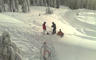 卑詩滑雪勝地普降大雪 吸引眾多遊客  　　