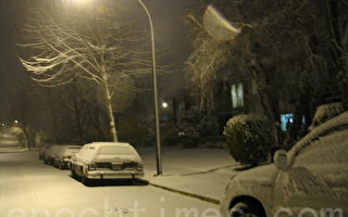 大温哥华再降雪 市府吁及时除雪