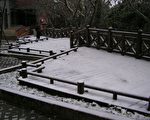 图片新闻 桃园复兴乡拉拉山下雪了！