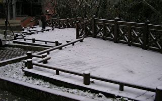 图片新闻 桃园复兴乡拉拉山下雪了！