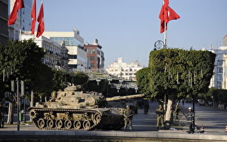 突尼斯前总统安全局长被捕  军队维安趋平静