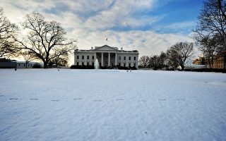 美国白宫国务院、国防部众多政要冒雪观赏神韵