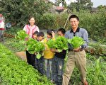 學童種菜籌課輔基金 盼各界支持