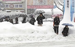 组图：暴雪冰封韩国东部 降雪量破百年纪录