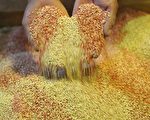 宇航员未来食品 “谷物之母”藜麦