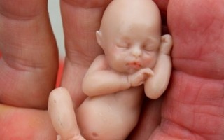 維州新立法：墮胎診所按醫院管理