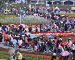 228連續假期天氣晴朗，台北國際花卉博覽會1天就湧入15萬人次參觀人潮，創下新紀錄花博。（攝影:宋碧龍 / 大紀元）