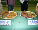 养生新风潮 地瓜稀饭