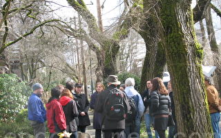 公園局擬移榆樹 東6街居民熱議