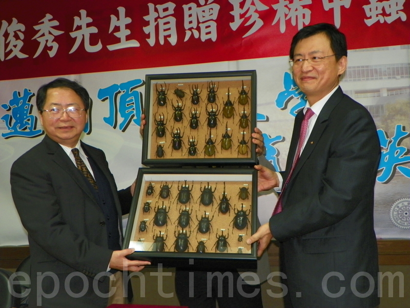 陈俊秀多年收藏珍贵甲虫标本赠清华 大纪元