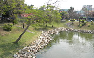 文化中心景觀池 水質復育有成