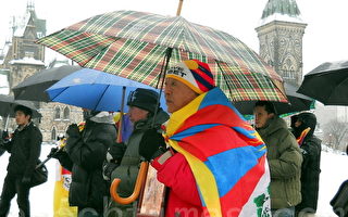 加拿大國會議員冒雨支持西藏人權運動