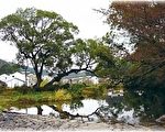 甲木木：是谁