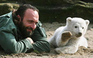 德国北极熊明星克努特离奇死亡
