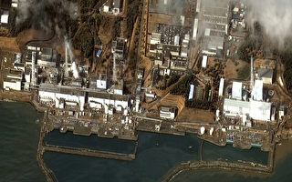福岛近海放射碘测得超标千倍