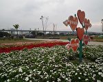 幸福浪漫花海 水漾公園熱情招手
