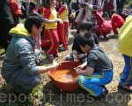 百年桃園蓮花季─手植蓮花體驗活動